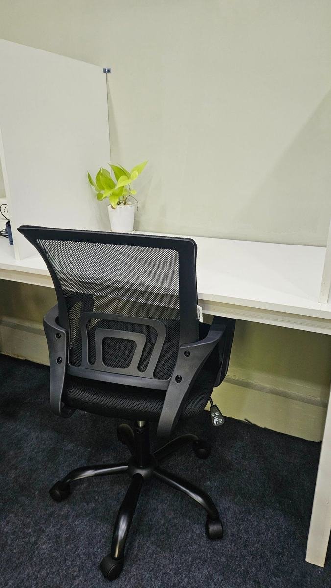 Partitioned study cabin with an ergonomic chair and a plant